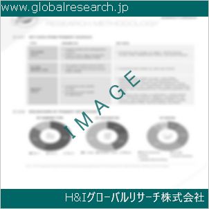 グローバルリサーチ調査資料のイメージ